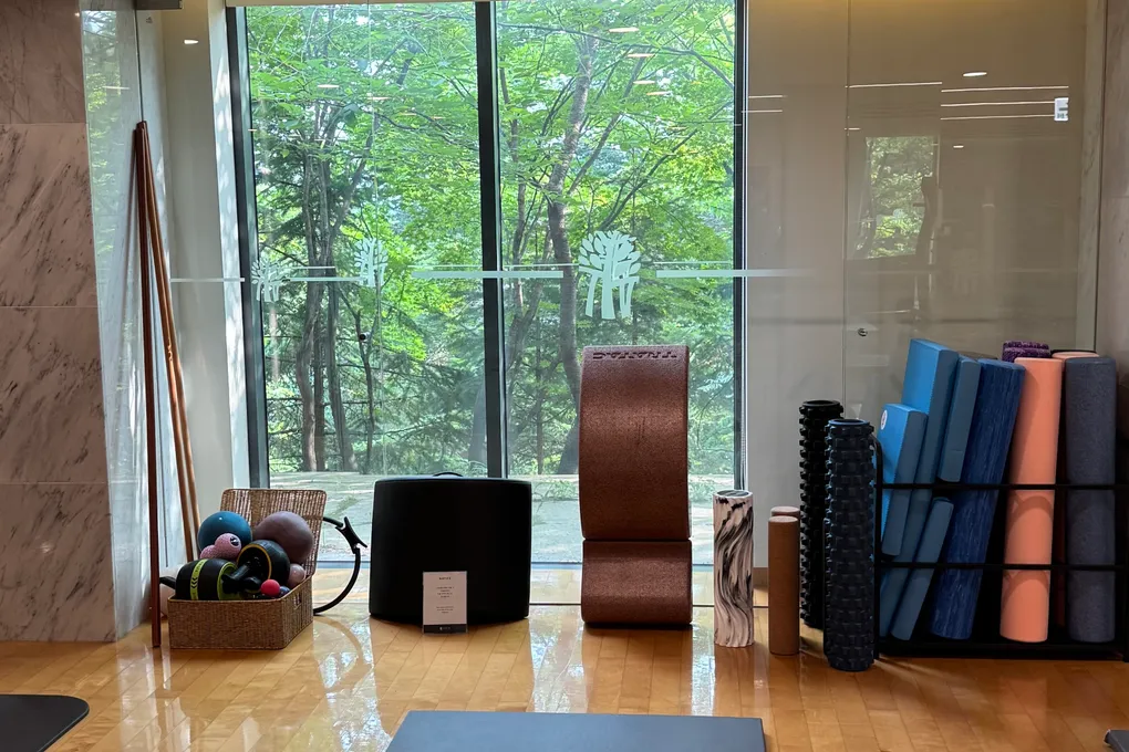 Yoga and stretching room with floor-to-ceiling forest-view windows at Banyan Tree Seoul