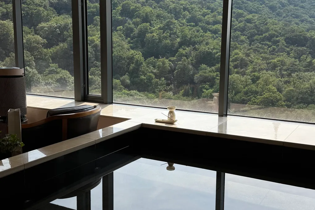 In-room relaxation pool at Banyan Tree Seoul with floor-to-ceiling windows over the Namsan forest in daytime